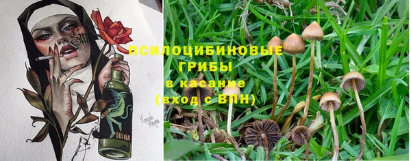 каннабис Карпинск