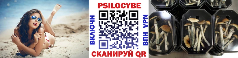 цена наркотик  ссылка на мегу ССЫЛКА  Галлюциногенные грибы ЛСД  Махачкала 