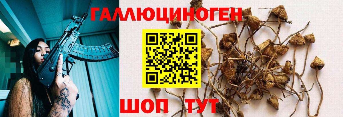 Галлюциногенные грибы Magic Shrooms Махачкала